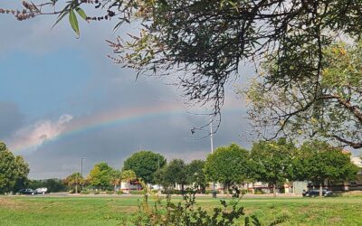 The Light of the Universe: Rainbow Reminders